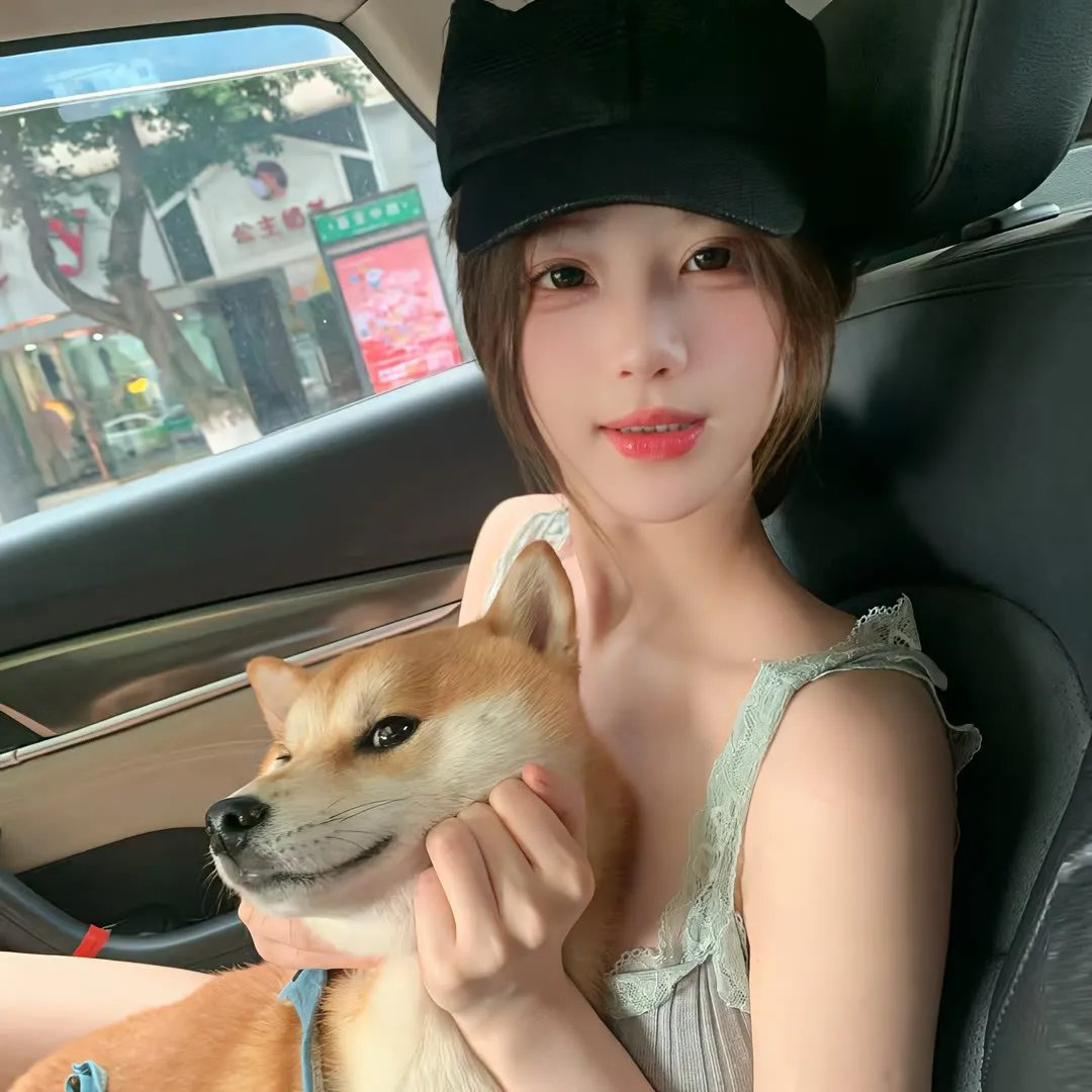 狗狗情缘
